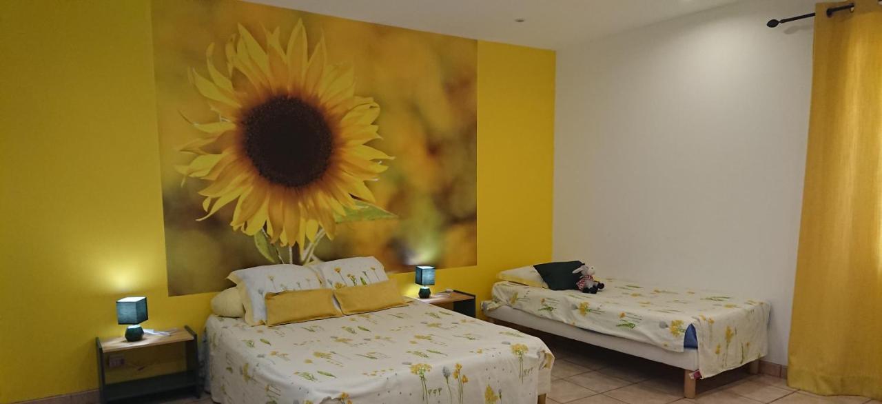 Chambres D'Hotes- Le Pre Aux Anes Albon Buitenkant foto