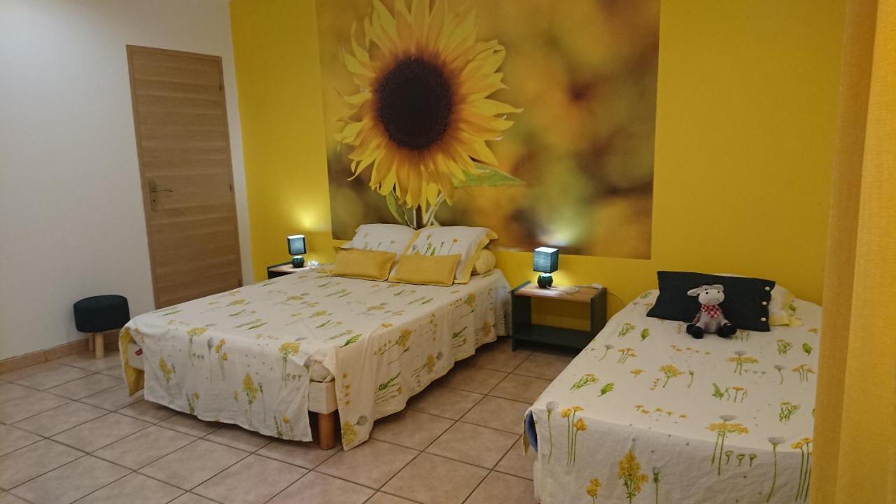 Chambres D'Hotes- Le Pre Aux Anes Albon Buitenkant foto