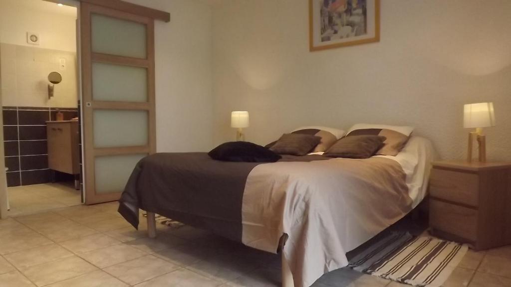 Chambres D'Hotes- Le Pre Aux Anes Albon Kamer foto